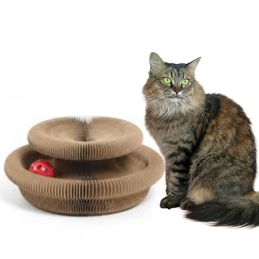 The Cat Donut™ Calm & Play Edition